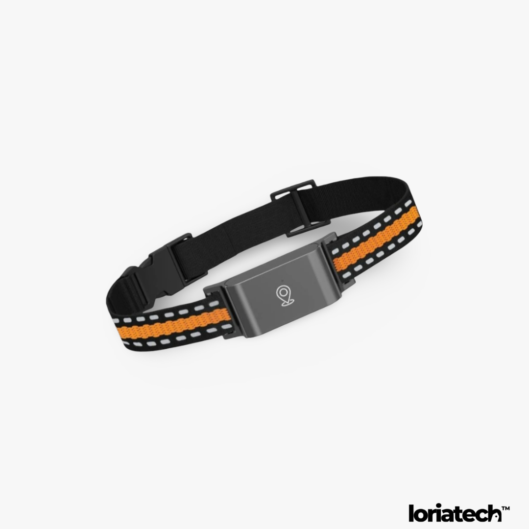 Traqueur Animal GPS