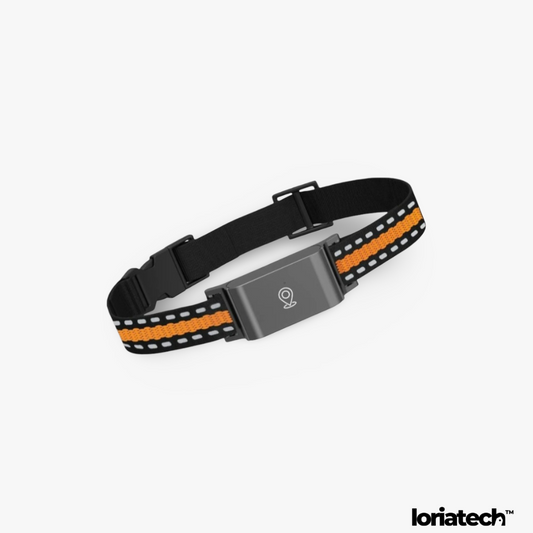 Traqueur Animal GPS