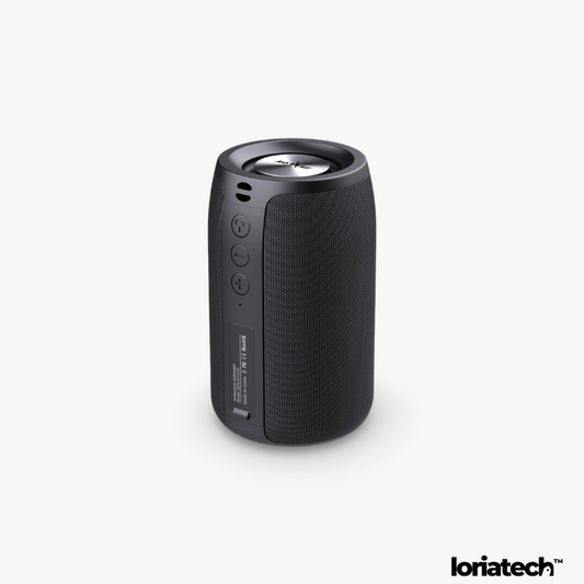 Enceinte