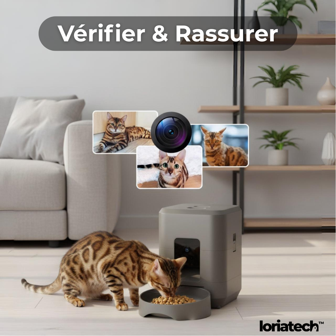 Distributeur Croquette Caméra