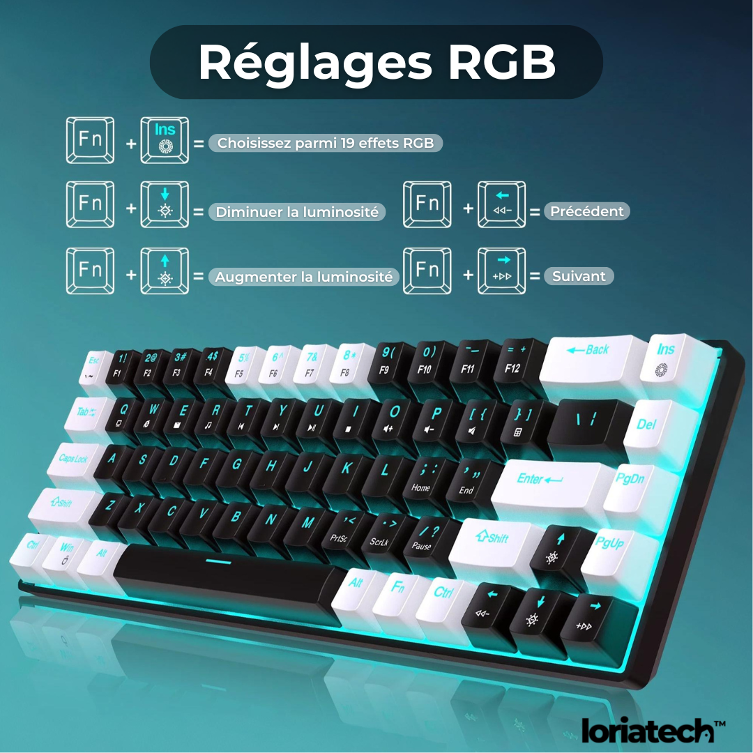 Clavier Gaming RGB Pro
