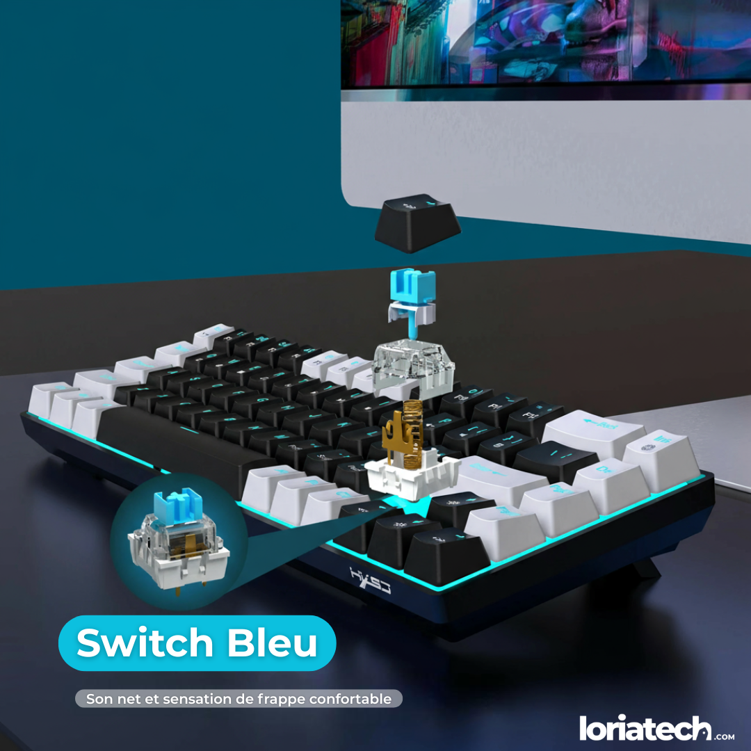 Clavier Gaming RGB Pro