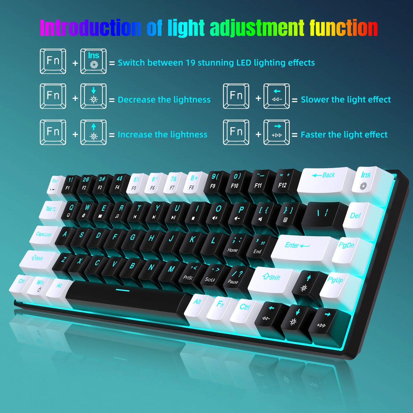 Clavier Gaming RGB